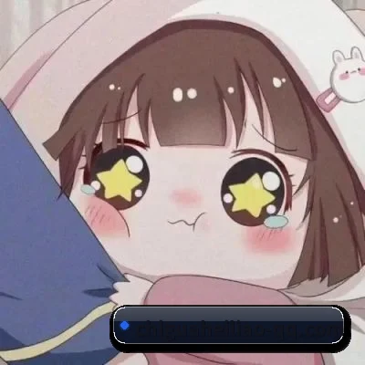 跨洋追星